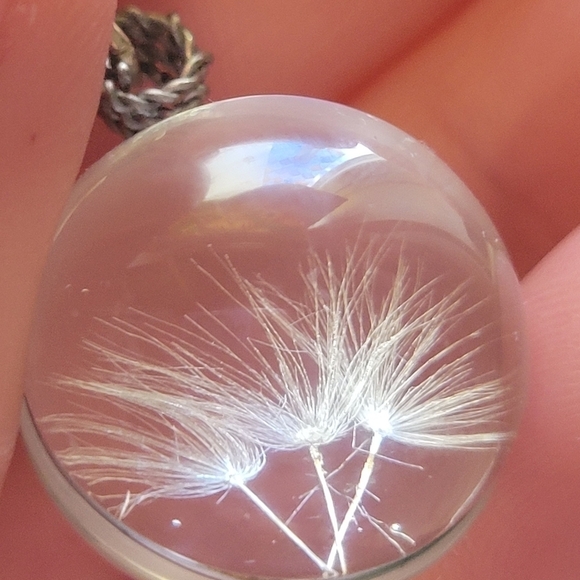 New Dandelion Seed In Glass Wire Wrapped Necklace 18 inch With Chain Extension - Picture 10 of 10